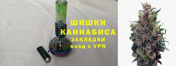 молекула духа Усинск