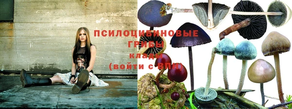 спиды Братск