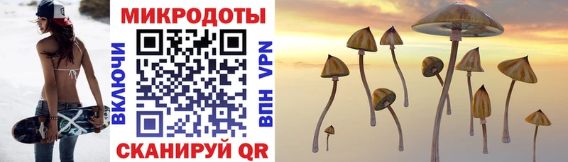 Галлюциногенные грибы прущие грибы  omg рабочий сайт  Агрыз 